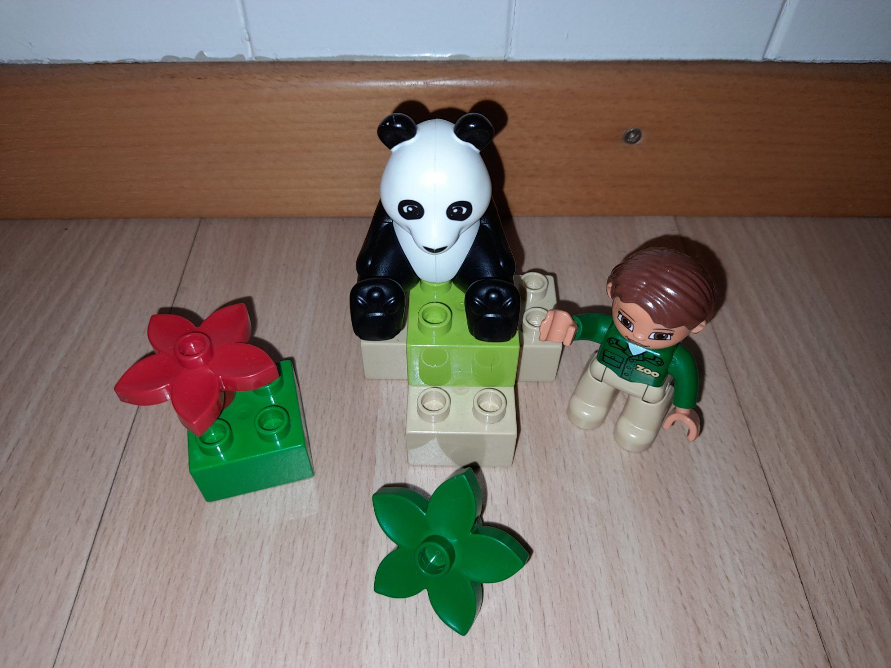 Lego Giocattoli: Lego Duplo Panda 6173 – Usato da Wittenbach venduto da Gugielmo 1