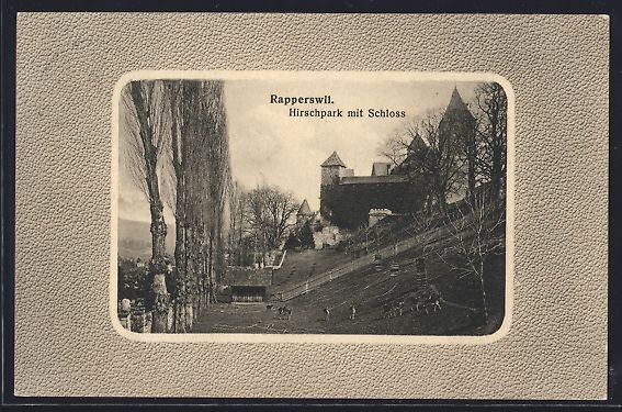 Cartoline postali: AK Rapperswil, Hirschpark mit Schloss – Usato da Berlin venduto da bartko-reher
