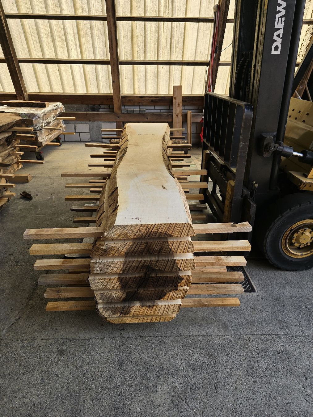Articoli in legno: Nussbaumstamm frisch – Nuovo (secondo la descrizione) da Ramsei venduto da Waelchris