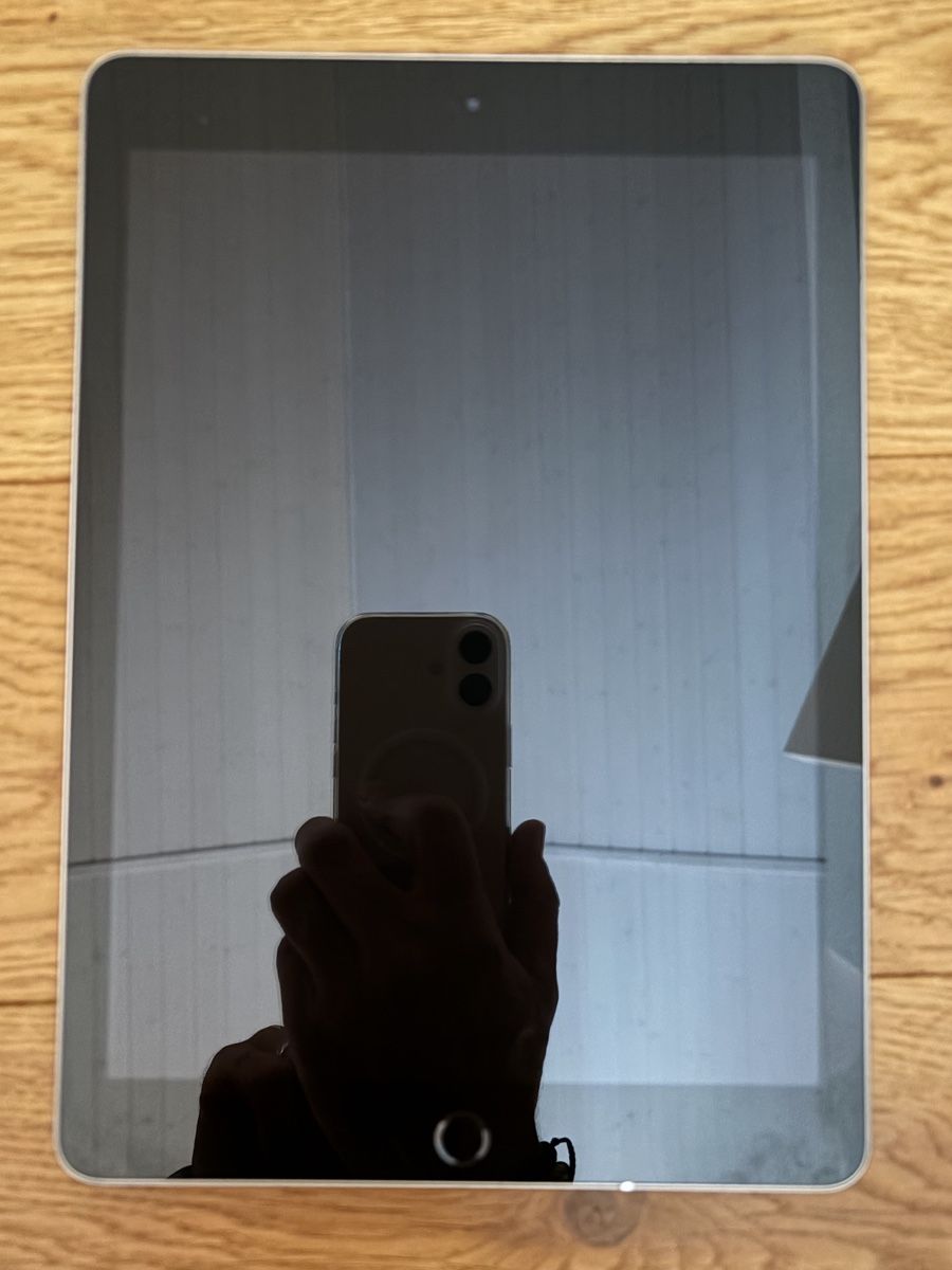 Apple Tablet PC: iPad 6. Generation (32 GB, WIFI) – Usato da Kesswil venduto da WaveNomad 2