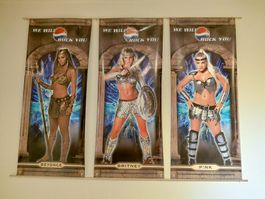 3 x Pepsi Vinyl Banner Britney Spears Beyoncé Pink