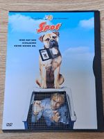 DVD Spot (See Spot Run) von John Whitesell,  David Arquette