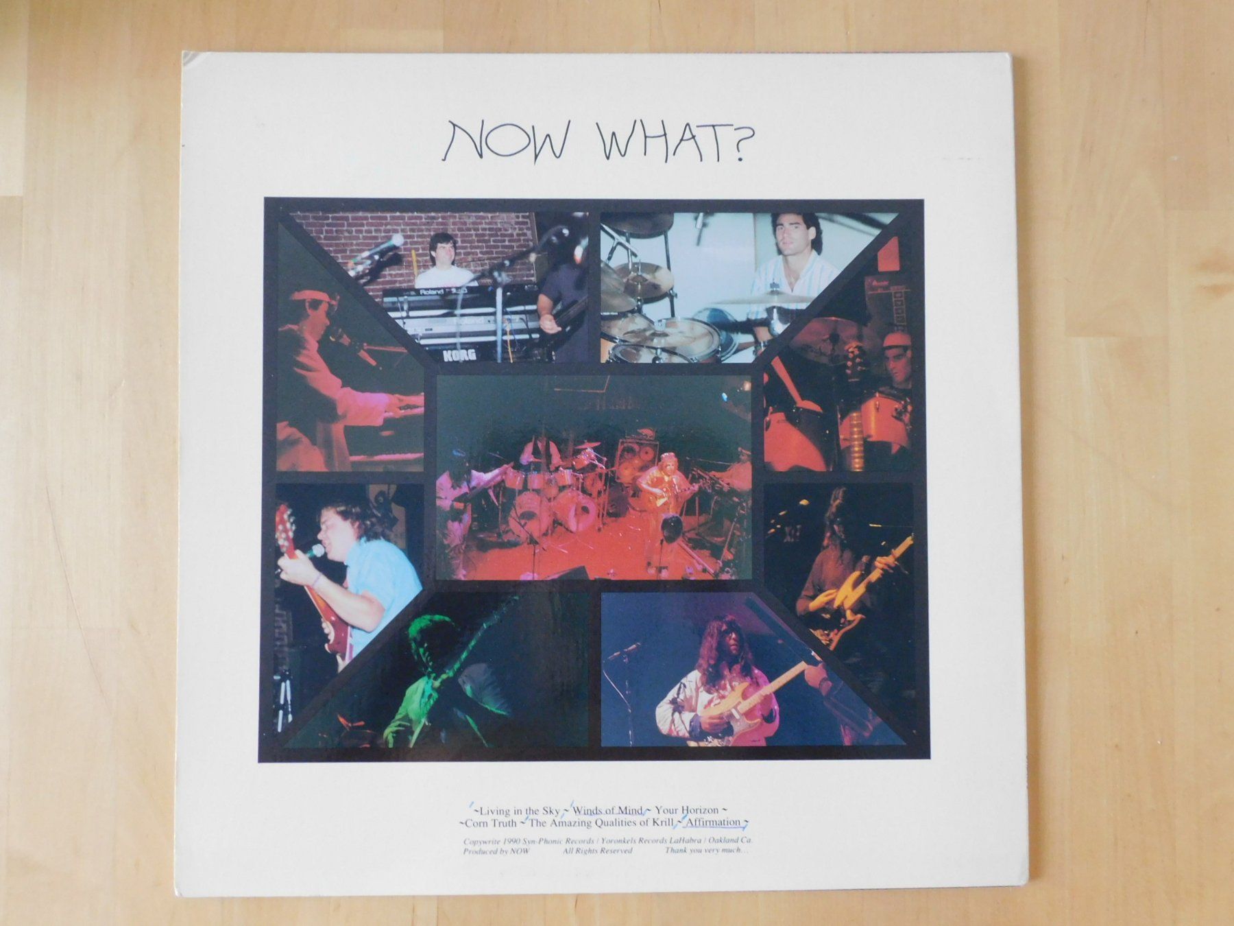 Dischi in vinile: Now – Now What? – Usato da Emmenbrücke venduto da Dickens 1