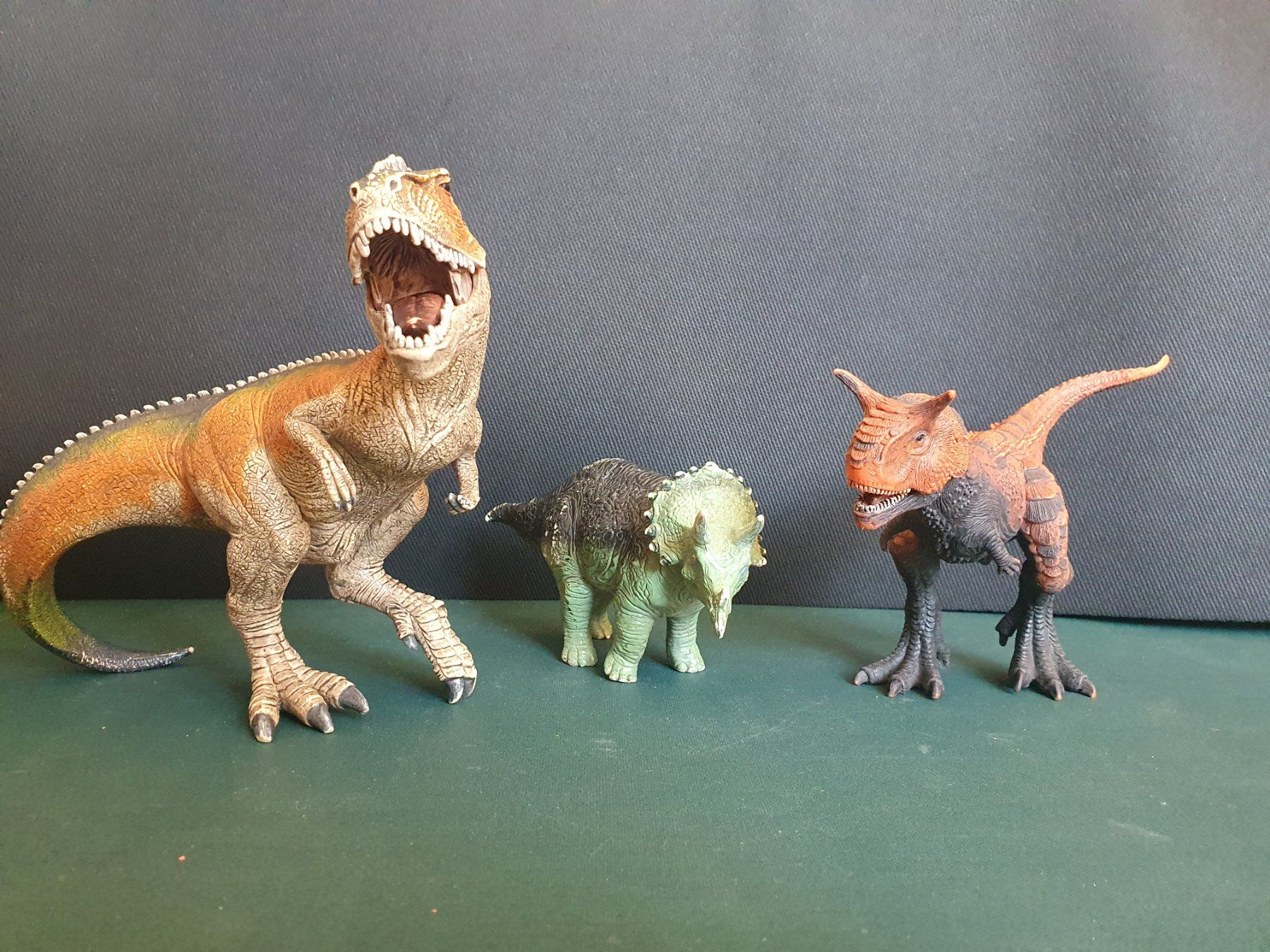 Schleich Spielzeuge: Schleichfiguren Dinosaurier – Gebraucht aus St.Gallen von jas_sv9m