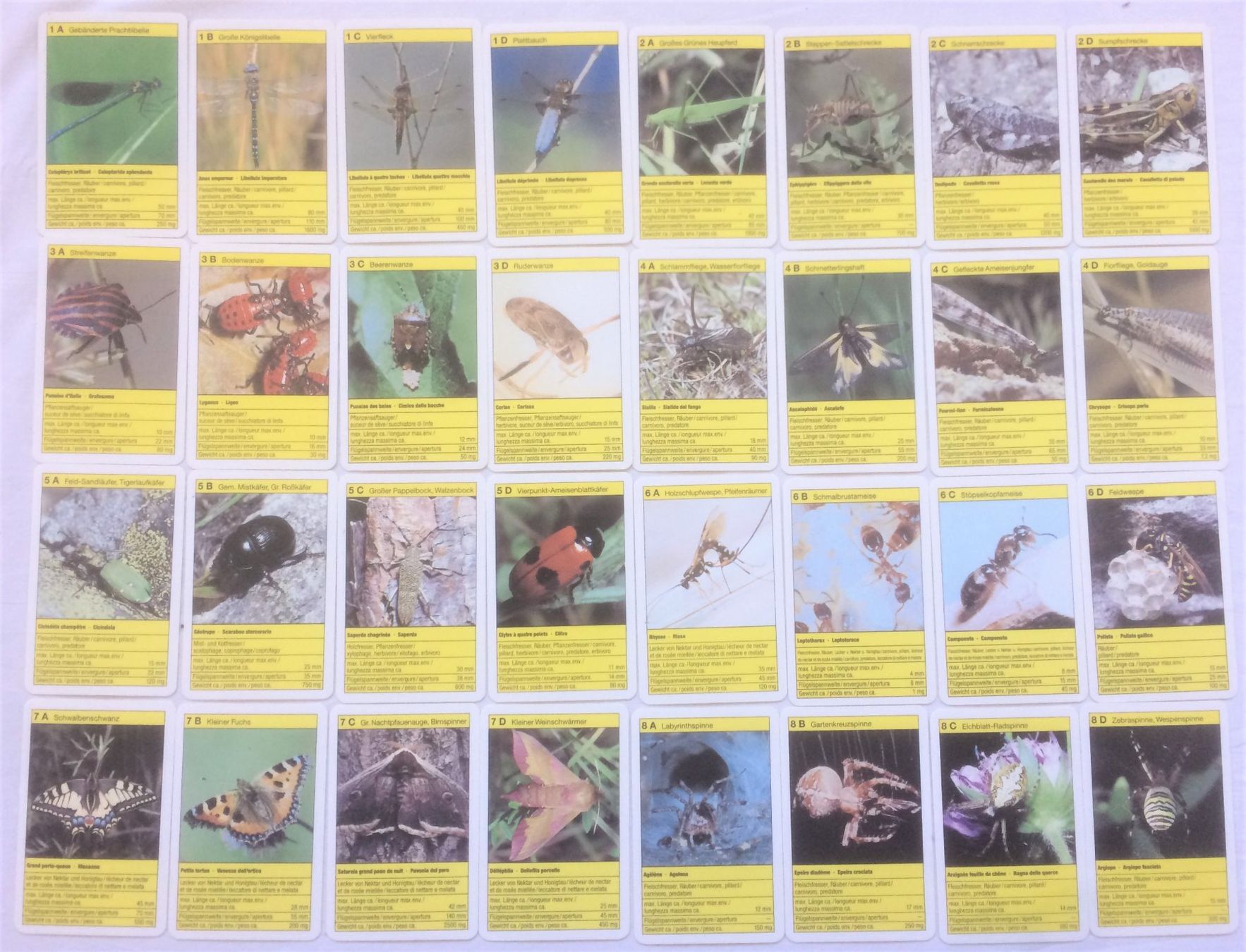 Spiele: Quartett - Super Top - Insekten - Carlit – Gebraucht aus Schaffhausen von durruti 1