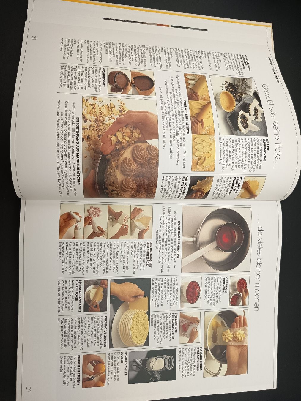 Libri: Backbuch Backen Die neue grosse Schule, gebraucht  – Usato da Wangen b. Olten venduto da crea_look 2