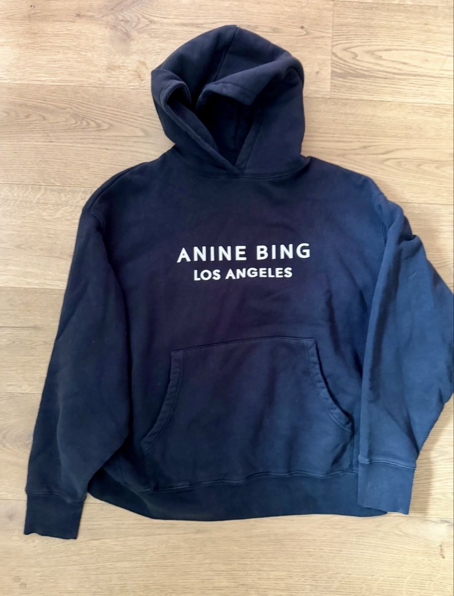 Anine Bing Pullover & Sweatshirts: Anine Bing ALTO – Neu (gemäss Beschreibung) aus Basel von Rinli01
