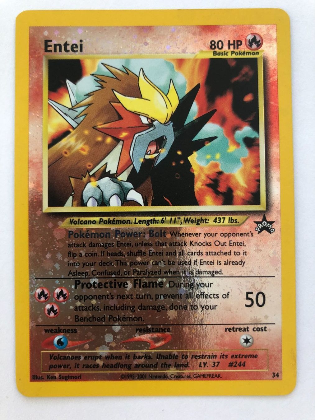 Pokémon Carte collezionabili: Entei Wizards Black Promo - Pokemon – Usato da Nussbaumen AG venduto da Bika-Shop