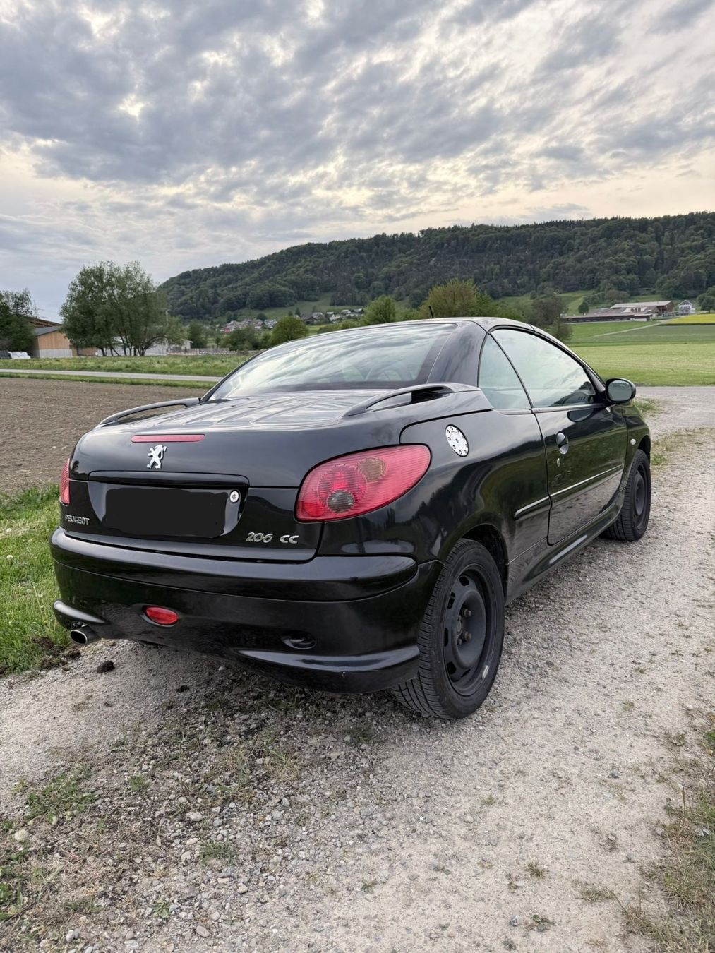 Peugeot Automobili: Peugeot 206 CC 2.0 Cabrio – Difettoso da Weingarten-Kalth venduto da Idesiree 4