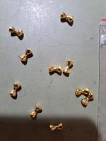 10 Dumbells Medium Eyes Gold 7 mm