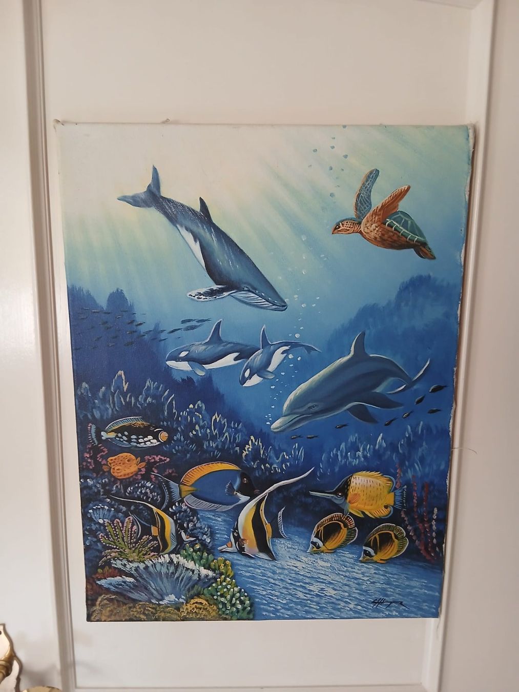 Foto & Immagini: Bild Fische – Usato da Grenchen venduto da juebo