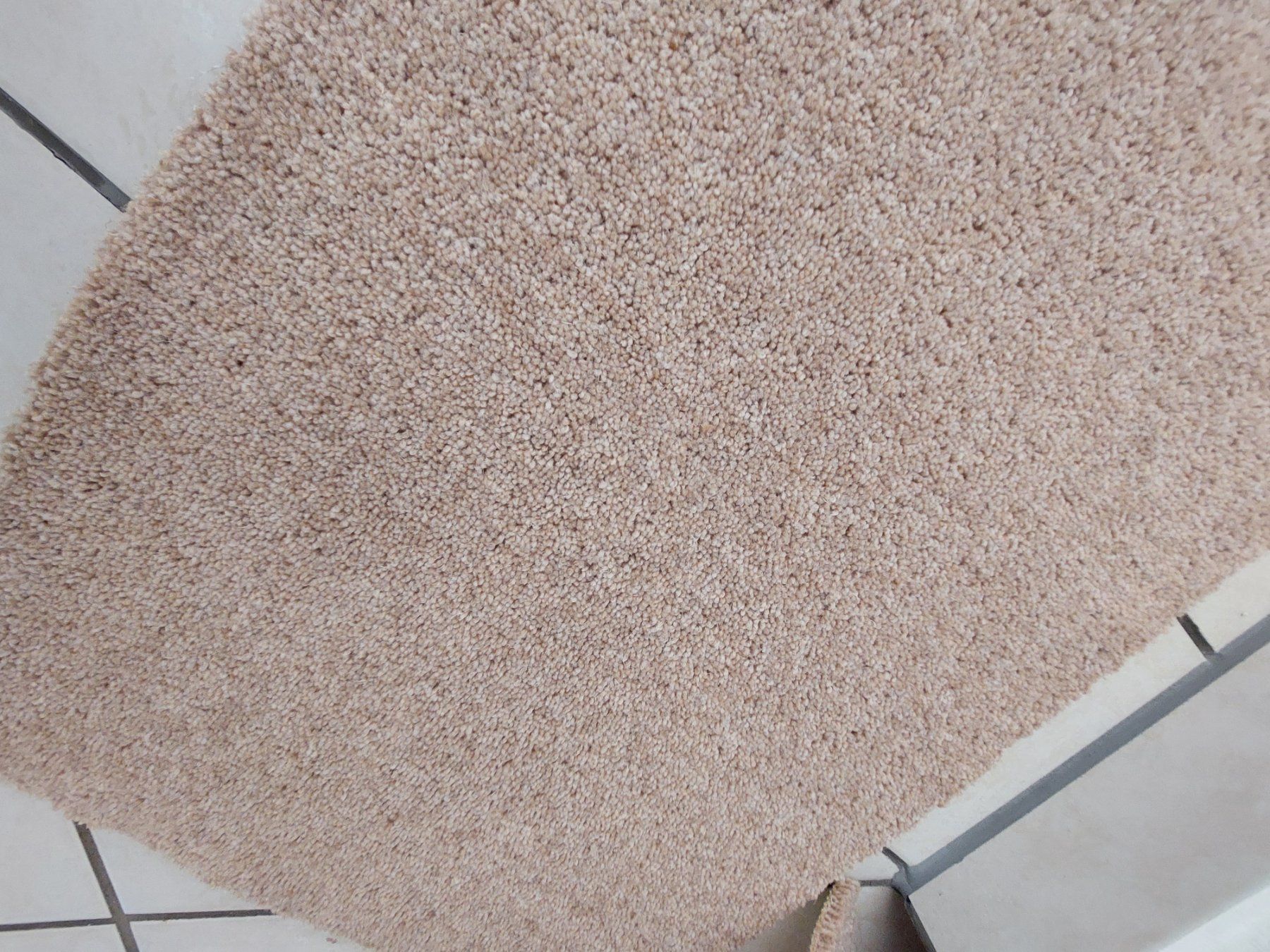 Tapis: Auslegware / Teppich – D'occasion à Fehraltorf par lameduckalex