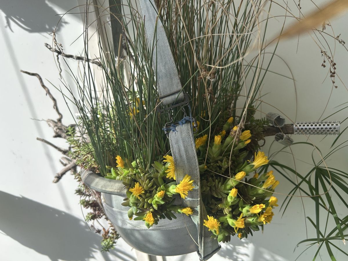 Blumentöpfe: Blumenampel  – Gebraucht aus Frauenfeld von Irene.Schuppli 4