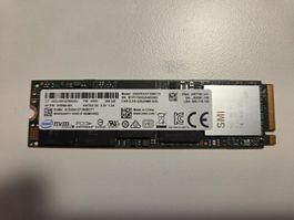 256 GB MVMe M.2 SSD