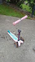 Micro Scooter rosa/violett