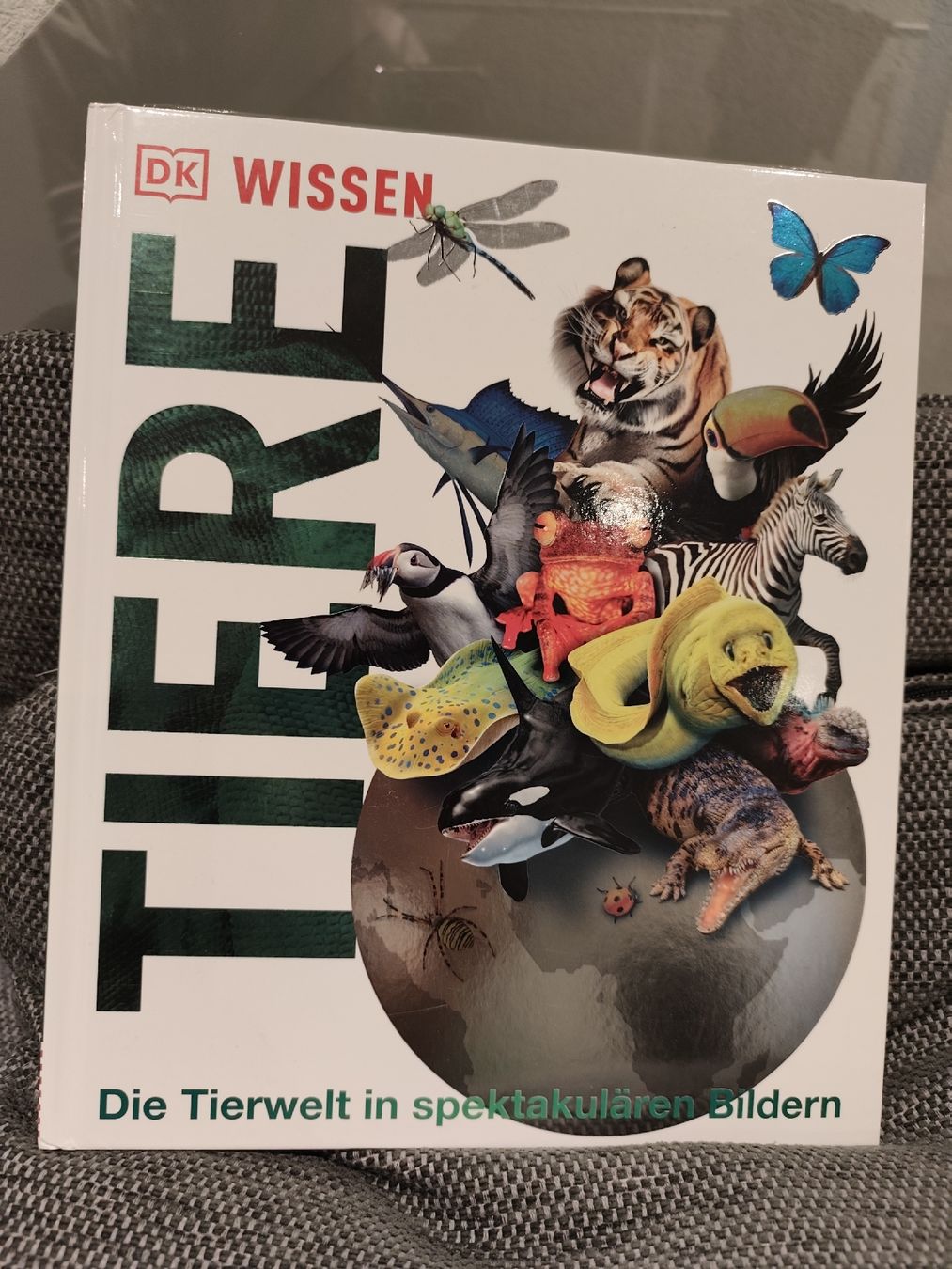 Libri: Sehr schönes Tiere Buch – Usato da Muhen venduto da Jackyw