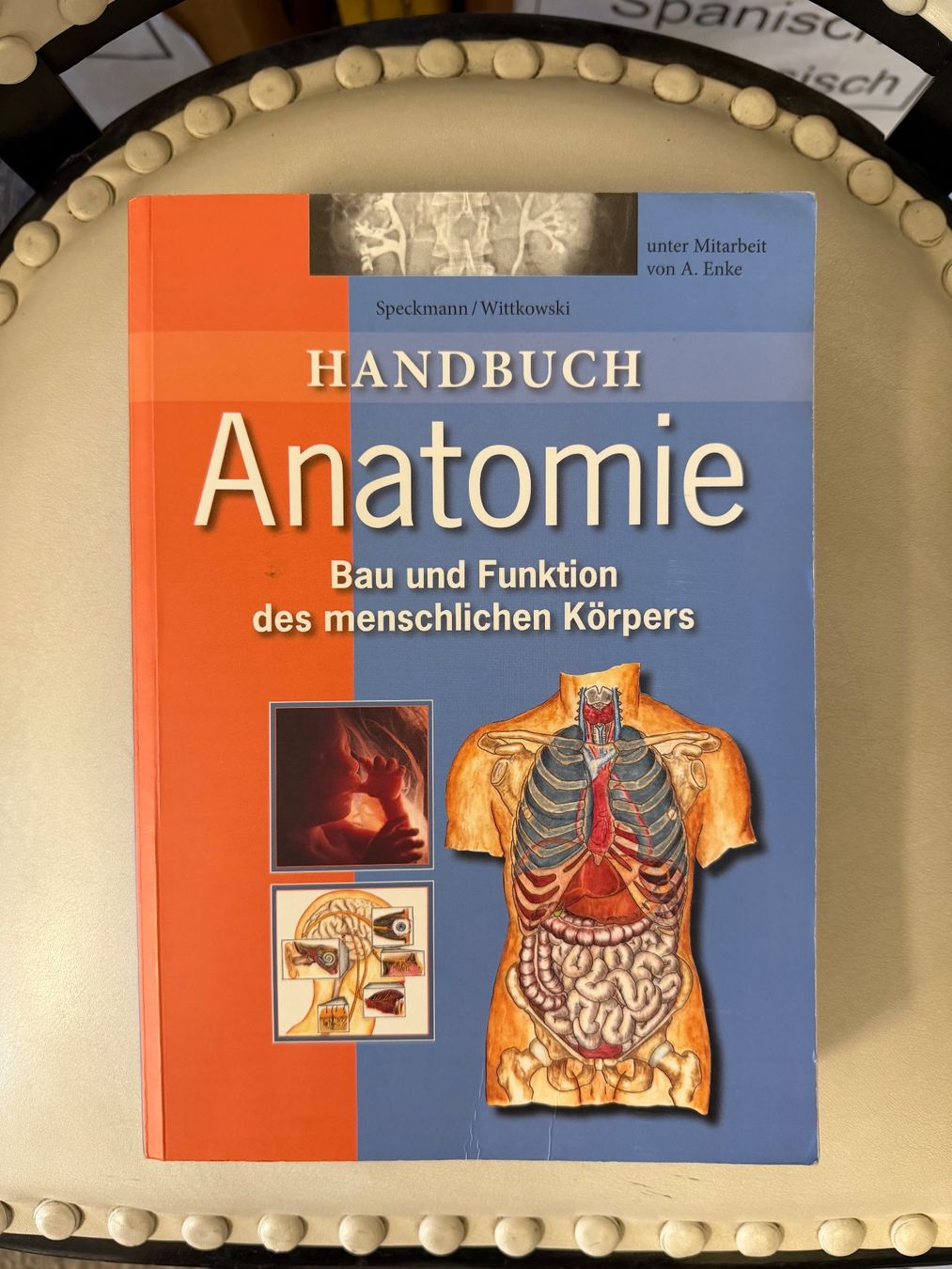 Bücher: Handbuch Anatomie – Gebraucht aus Dietikon von Buchantiqdietikon