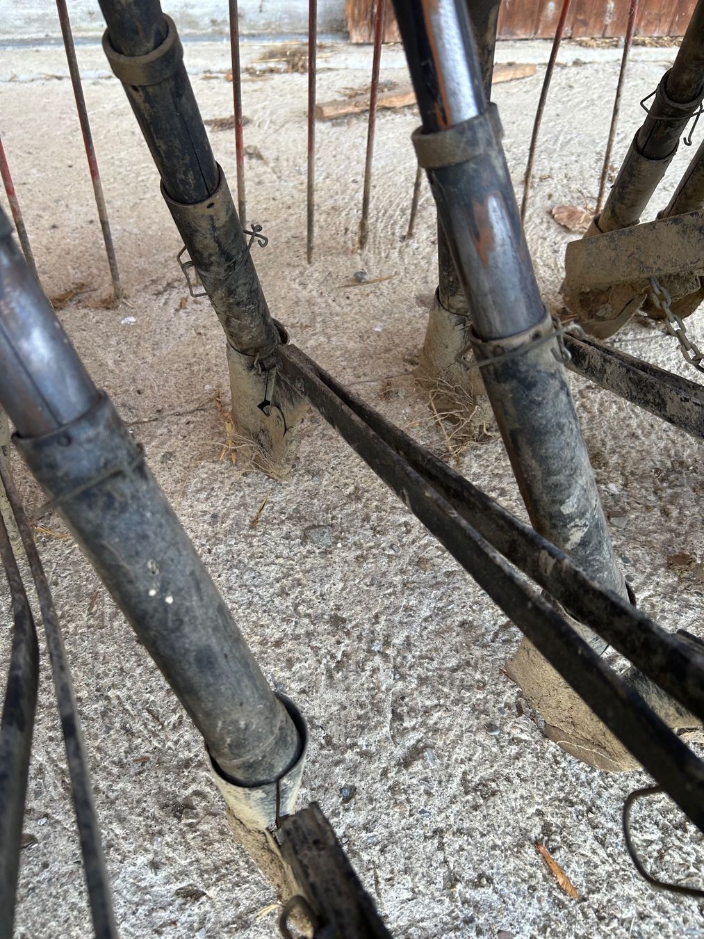 Tutte le macchine: Sämaschine Nordsten 3 m – Usato da Homburg venduto da goivanni 2