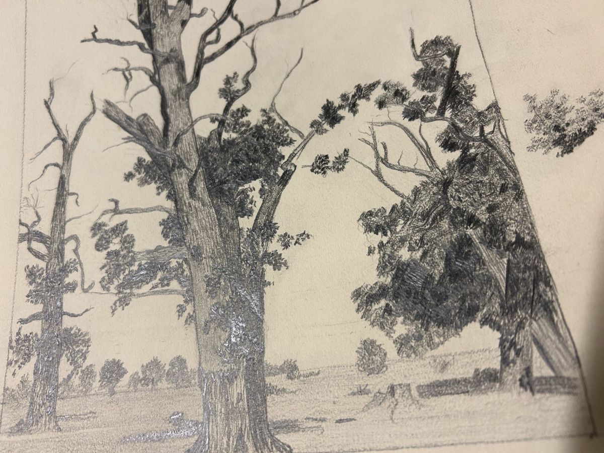 Poster & Bilder: Original Bleistiftzeichnung "Bäume"Signiert ? Datiert 1903. – Gebraucht aus Lanzenhäusern von vic63 4