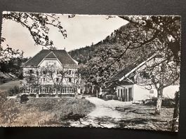 Postkarte Ramsach Läuflingen 1953 (P432)