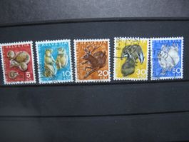 PJ 1965  Wildtiere
