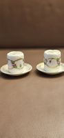 Salière et poivrière porcelaine Bavaria roses vintage