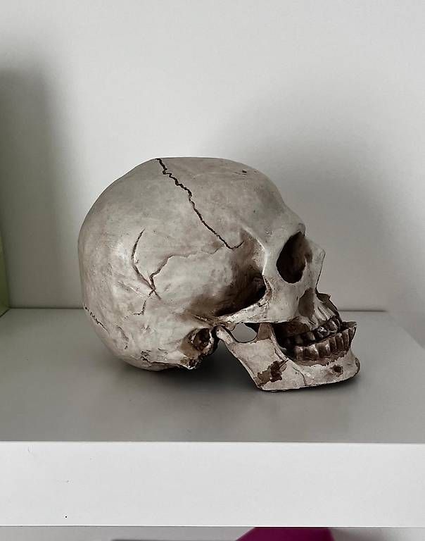 Tutte le decorazioni: Teschio da decorazione – Usato da Massagno venduto da dar_z26m 1