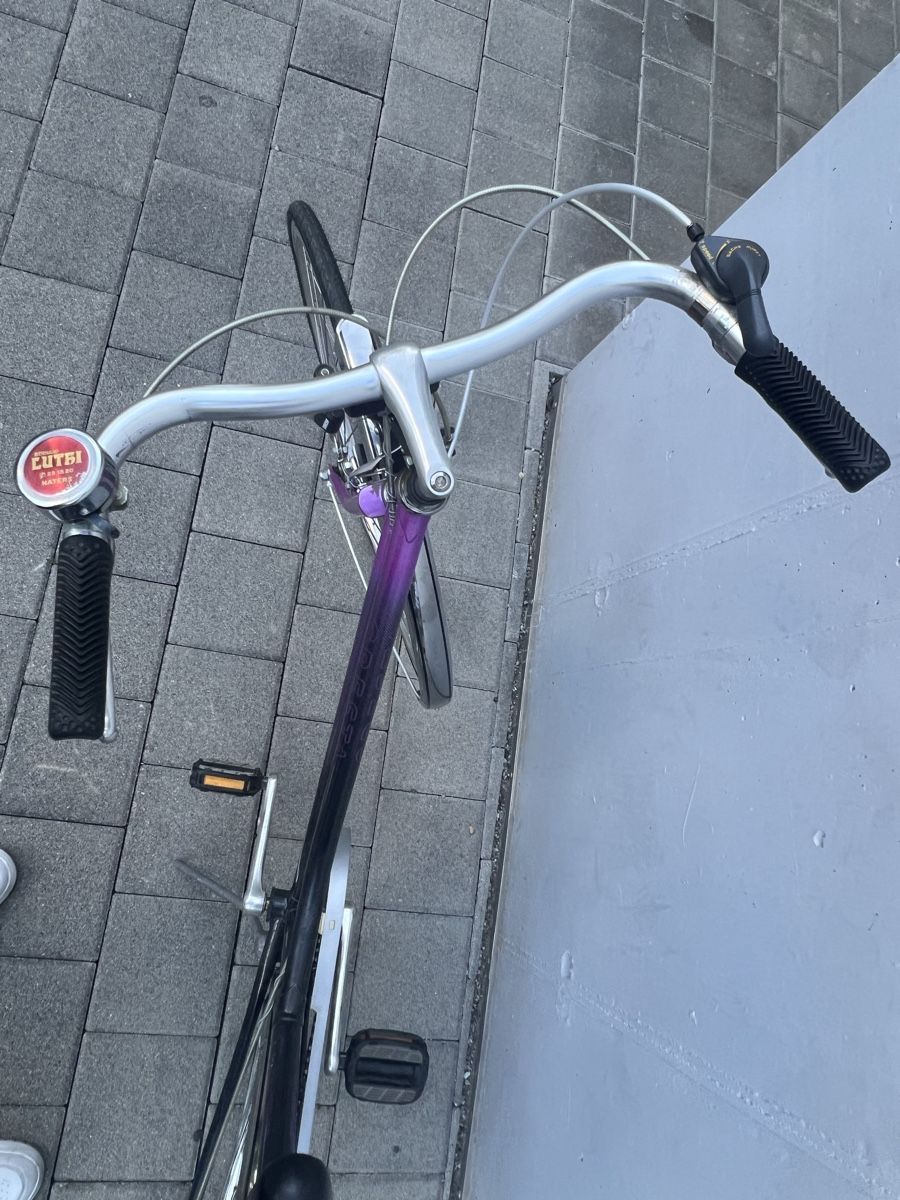 Cresta Biciclette: CRESTA ARTENA Velo – Usato da Brig venduto da avd_n99w 2