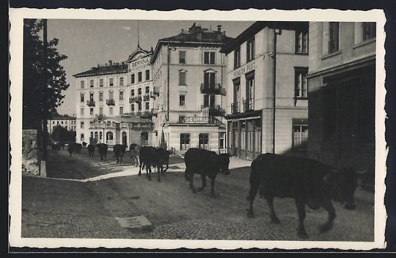 Cartoline postali: Samaden, Hotel Bernina und Pension Post – Usato da Berlin venduto da bartko-reher