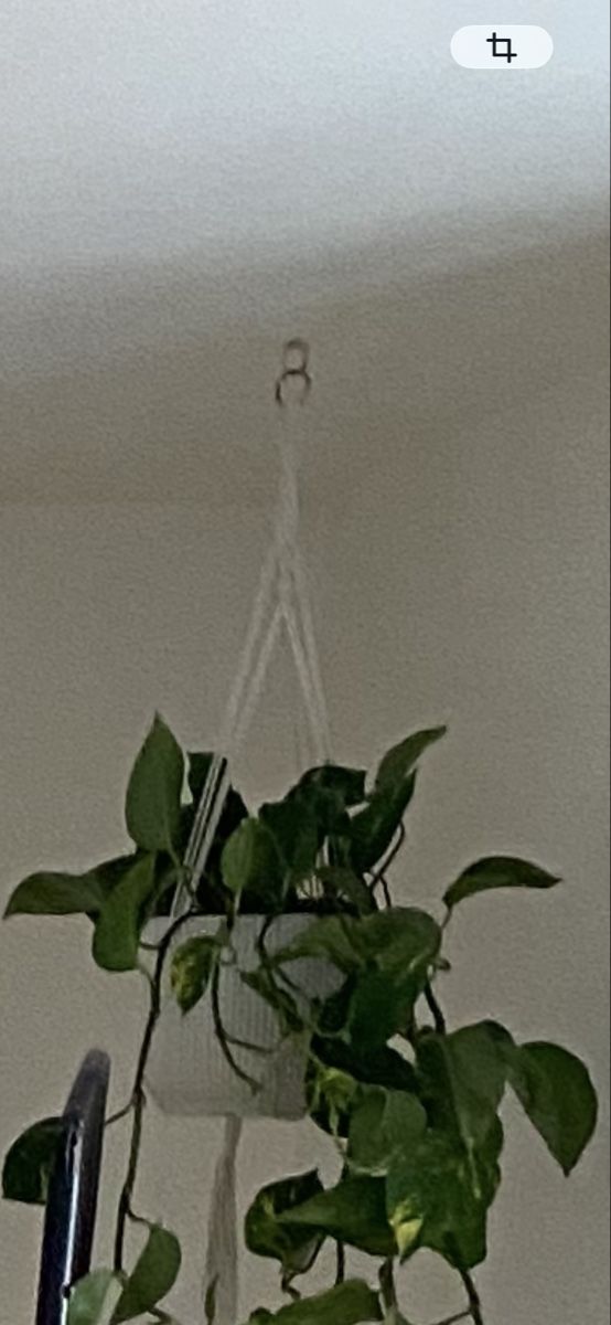 Tutte le decorazioni: Macrame hang plant – Usato da Zürich venduto da ana_snm5 3