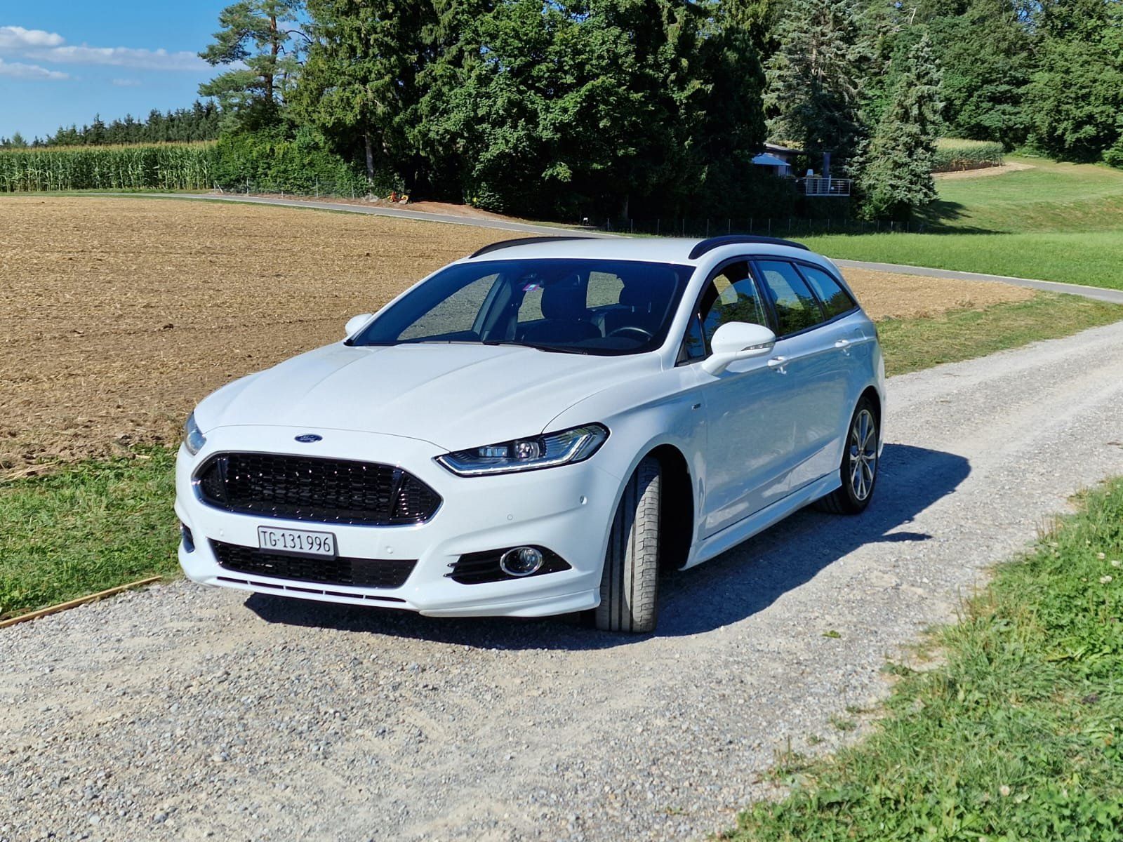 Ford Automobili: Ford Mondeo  ST line # – Usato da Wuppenau venduto da Gastro-Wuppenau 1