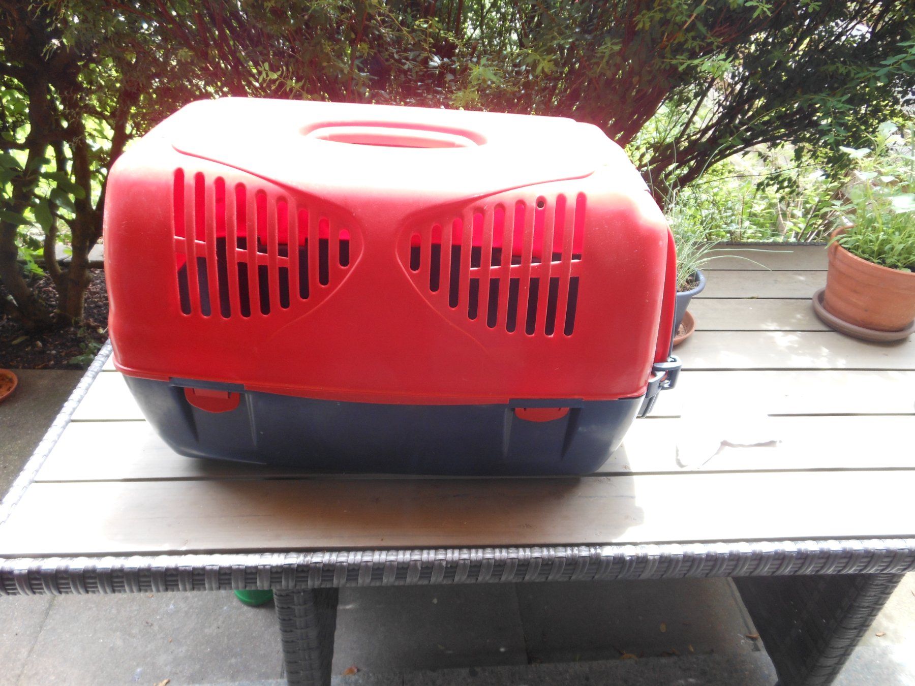 Gabbie, trasporto & Sicurezza: Tiertransportbox - ideal für Ferienreisen oder zu Artzt – Usato da Füllinsdorf venduto da Cibum