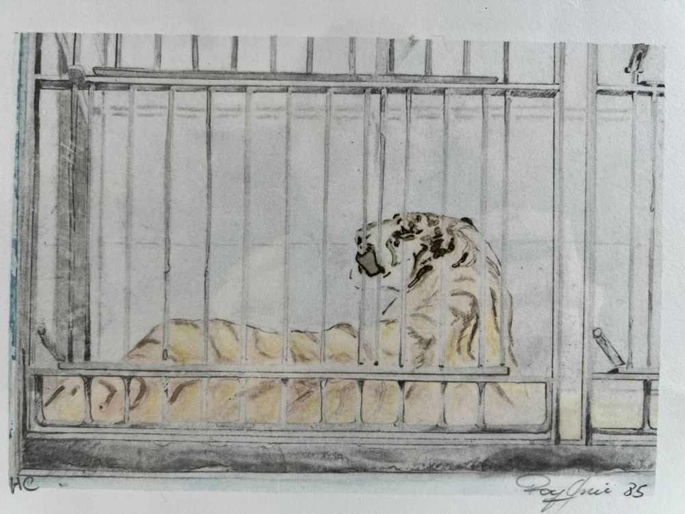 Grafiken & Lithographien: Rolf Knie - >Tiger im Käfig> – Gebraucht aus Hinwil von Chnap 2