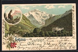 Lithographie Interlaken, Blick auf Berge
