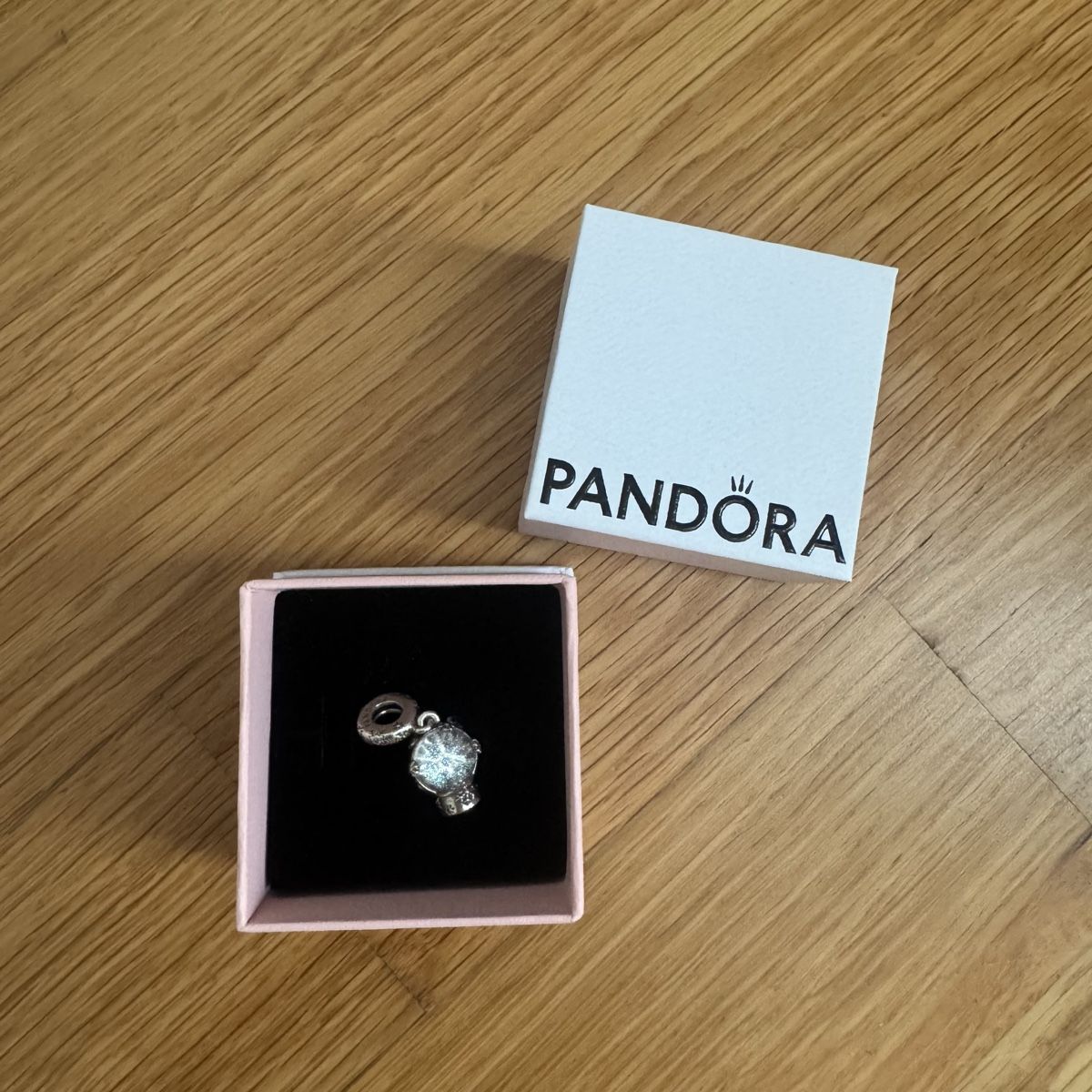Pandora Pendentifs: Pandora Charm Schneekugel – D'occasion à Sursee par giu_205