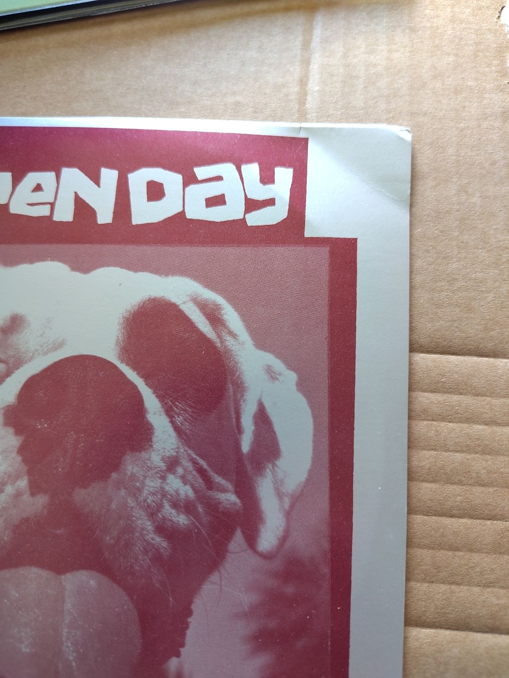 Dischi in vinile: Green Day - Pinhead Gunpowder 3x7" Single Set – Usato da Büsserach venduto da Bey23 4