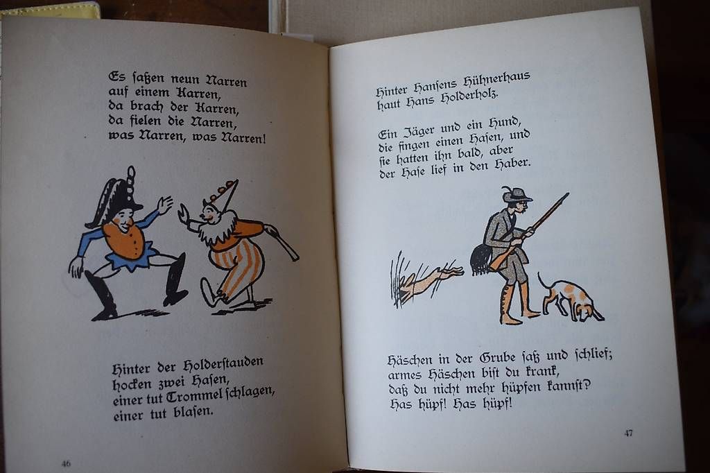 Libri: Der Bunte Vogel – Usato da Brügg BE venduto da Aristotolius 4