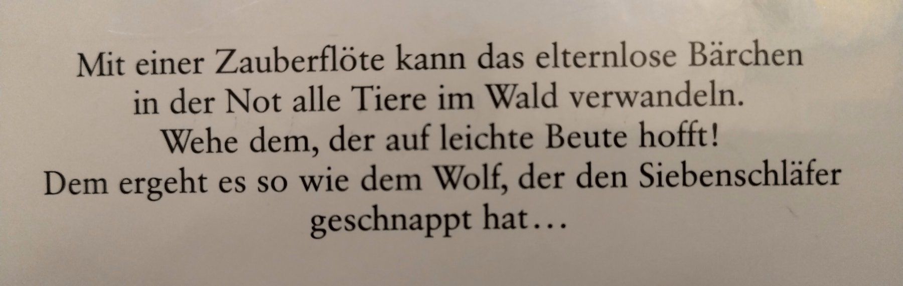 Libri: Das Flötenbärchen / Bären Bilderbuch von Gerda Muller – Usato da Bellach venduto da JingleJerry 8