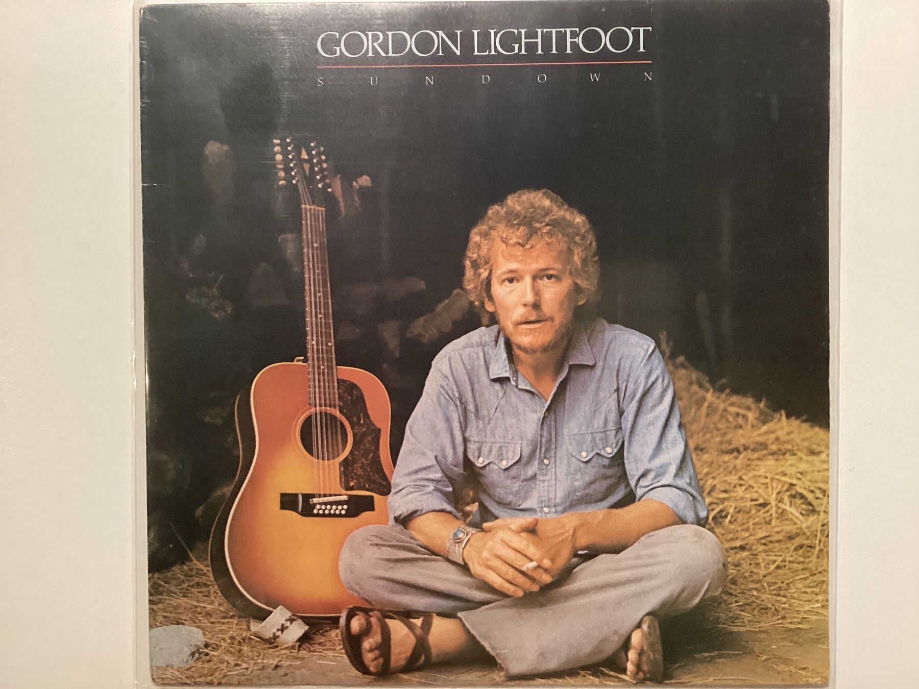 Dischi in vinile: Gordon Lightfoot LP - Sudown – Usato da Gutenswil venduto da Hamzian