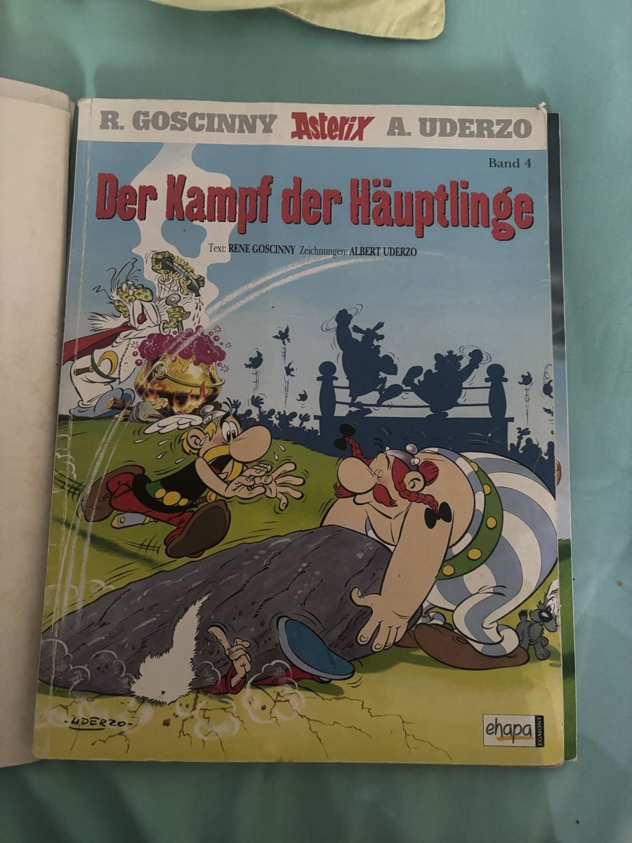 Fumetti: Alte Asterix & Obelix Comics – Usato da Dornach venduto da fam_fy9y 3