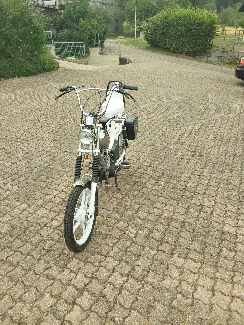 Alpa Ciclomotori: ALPA CHOPPER ZU VERKAUFEN – Usato da Ettenhausen TG venduto da RS5.F-1 1