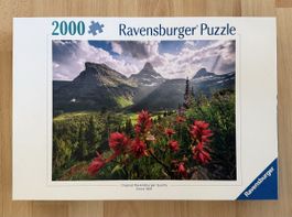 Puzzle 2000 Teile Ravensburger