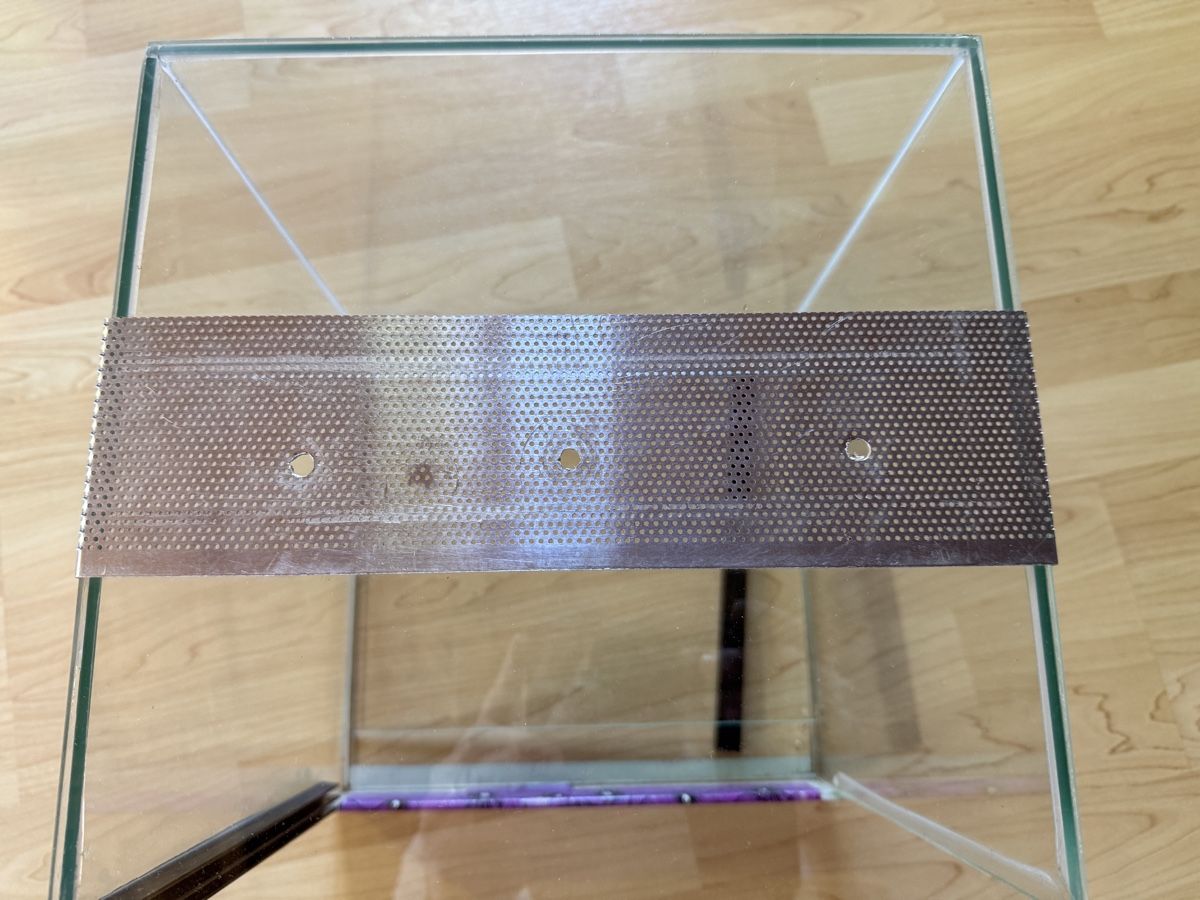 Terrario: Terrarium 30x30x30 – Usato da Lyssach venduto da wirbelwind87 2