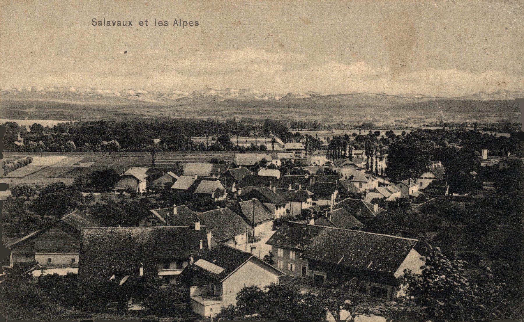 Ansichtskarten: Salavaux et les Alpes – Gebraucht aus Bronschhofen von Astore