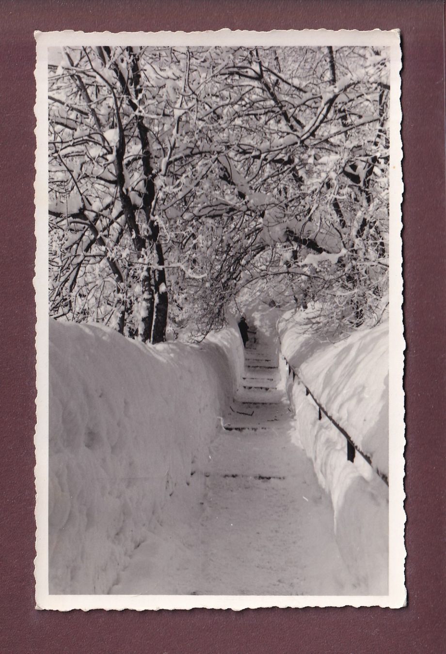 Cartoline postali: PAYSAGE D'HIVER - 1954 – Usato da Pully venduto da nicecards