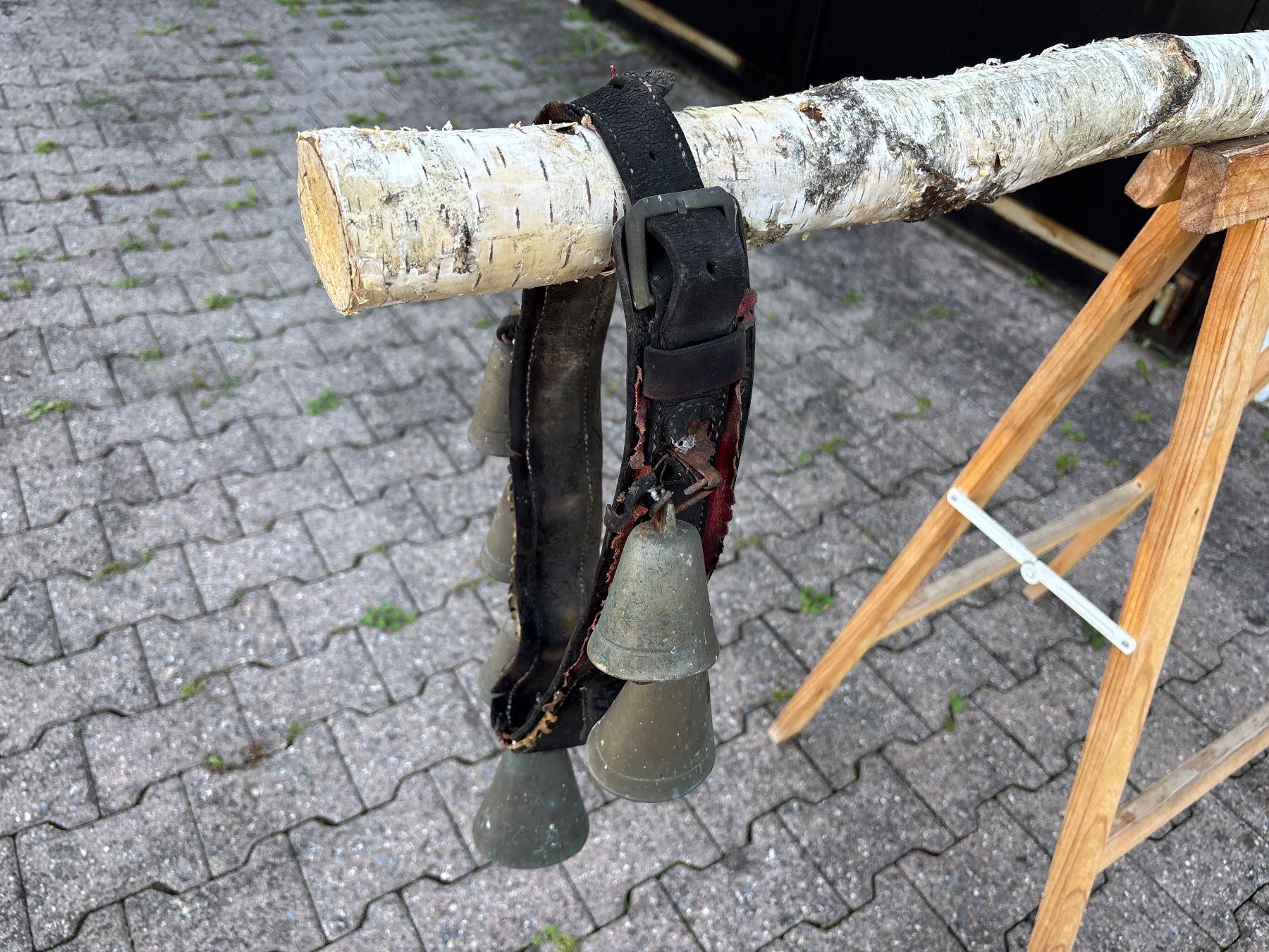 Campanacci mucche: antikes Pferdegeschell / Parisergeschell – Usato da Feldbach venduto da Fea1 4