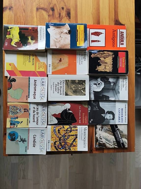 Libri: 15 livres de divers auteurs – Usato da Leytron venduto da Angi189
