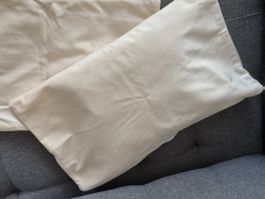 Kissen, Bezug Zierkissen Velours 2 Stück neu