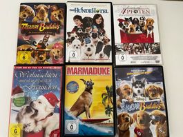 DVD Film Bundle mit Hunden
