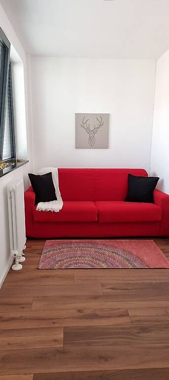 Divani: Divano letto rosso – Usato da Montagnola venduto da nat_qs7w